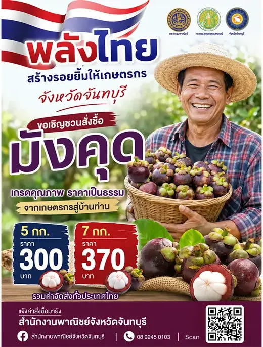 มังคุดจันทบุรี ของดีจากสวน ส่งตรงถึงมือคุณ